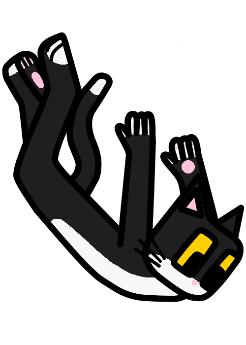 NitpickyCat Falling (2025/03/16)