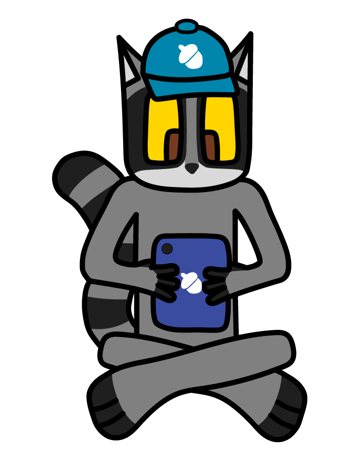 Vincent The Raccoon (2025/05/04)